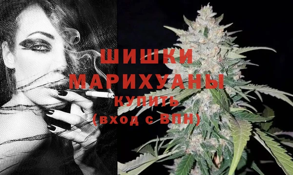 стаф Абдулино