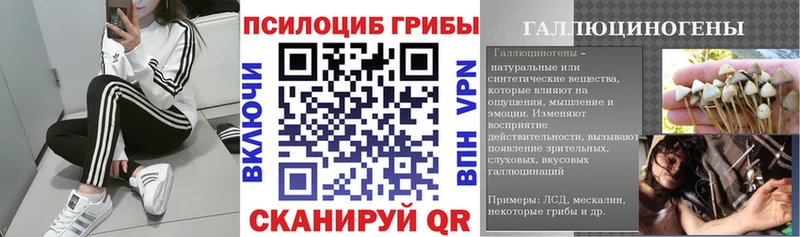 Галлюциногенные грибы ЛСД  Алейск 